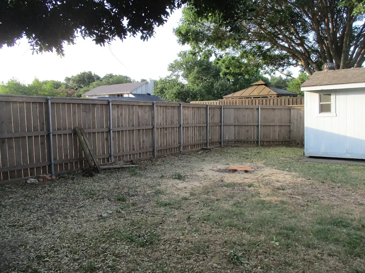 Cleared yard after professional tree removal in Coleridge